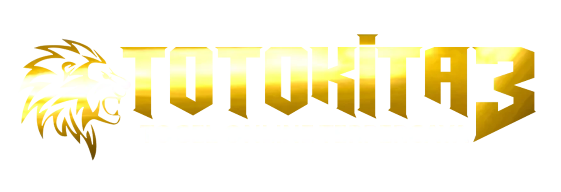 vs-logo-img